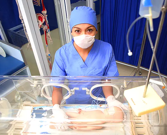 Carrusel Plantel Mirador Incubadora Carrusel Plantel Mirador Incubadora