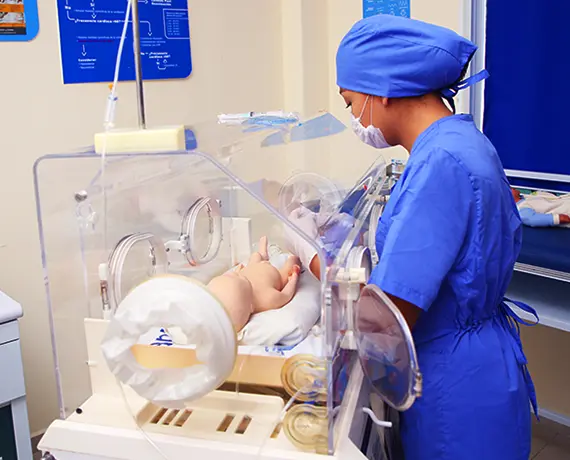 Carrusel Plantel Mirador Incubadora2 Carrusel Plantel Mirador Incubadora2