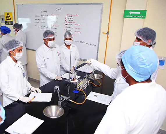 Carrusel Plantel Mirador Laboratorio Carrusel Plantel Mirador Laboratorio