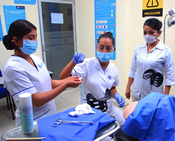 Carrusel Plantel Mirador Muestras Carrusel Plantel Mirador Muestras