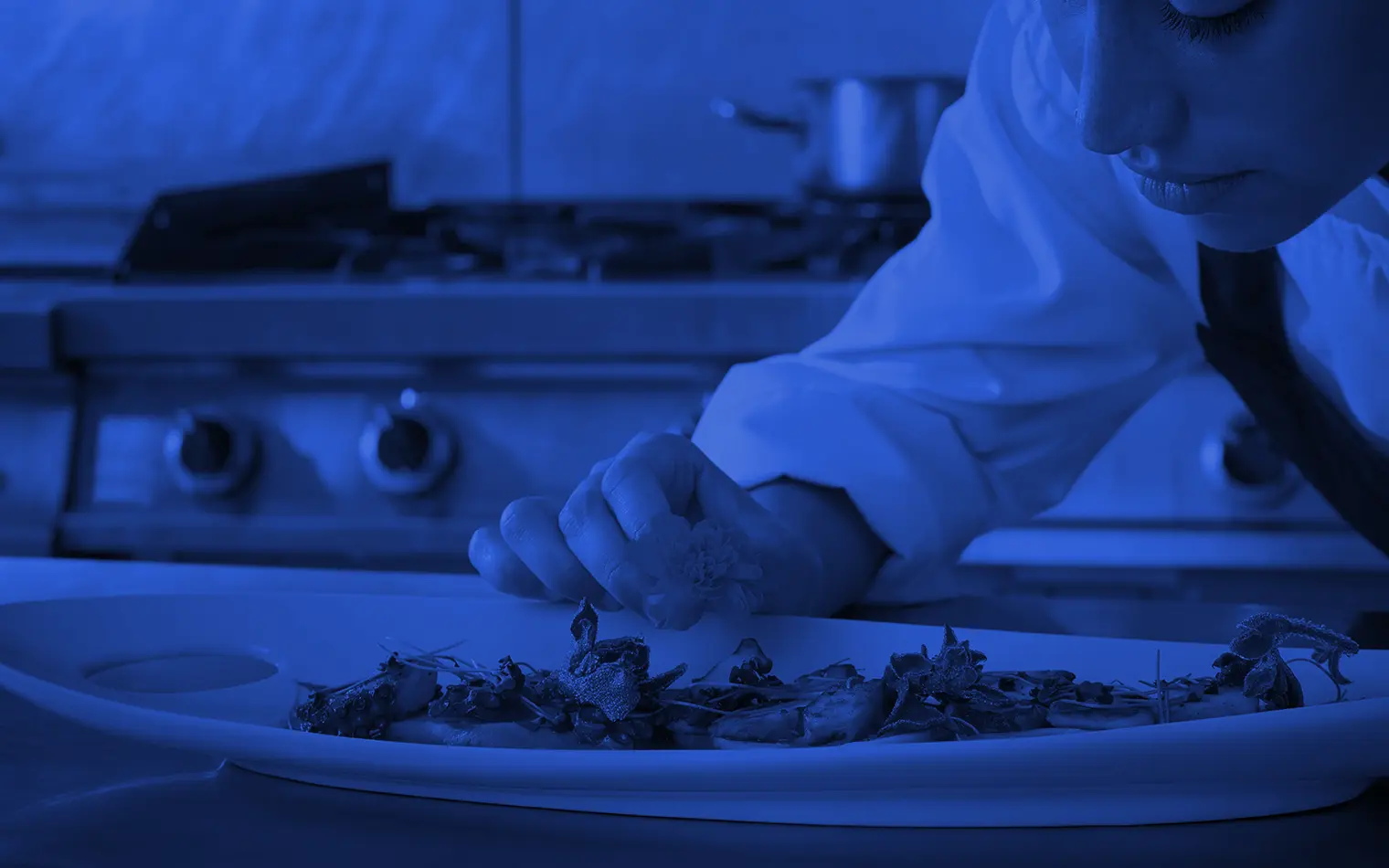 Miniatura Licenciatura Gastronomia