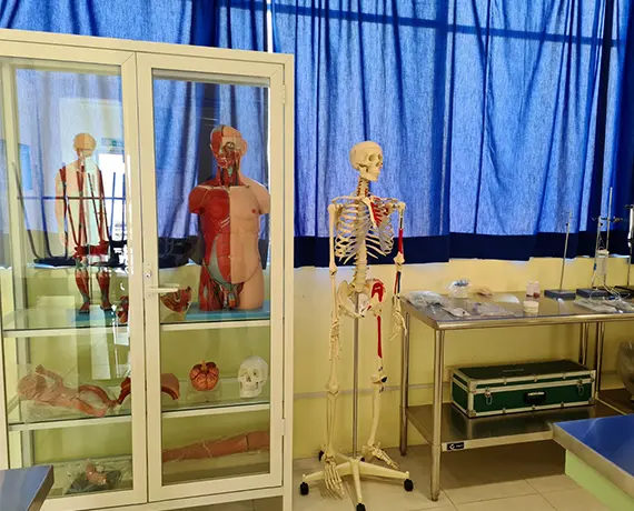 Carrusel Plantel Sahuayo Lab Neuropsicologia Carrusel Plantel Sahuayo Lab Neuropsicologia