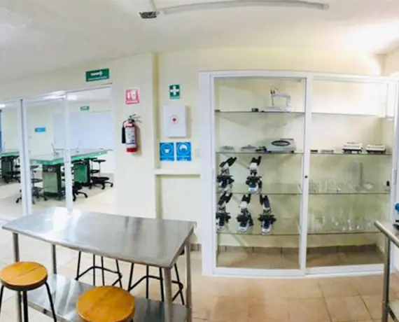 Carrusel Plantel Zitacuaro Lab Bromatologia Carrusel Plantel Zitacuaro Lab Bromatologia