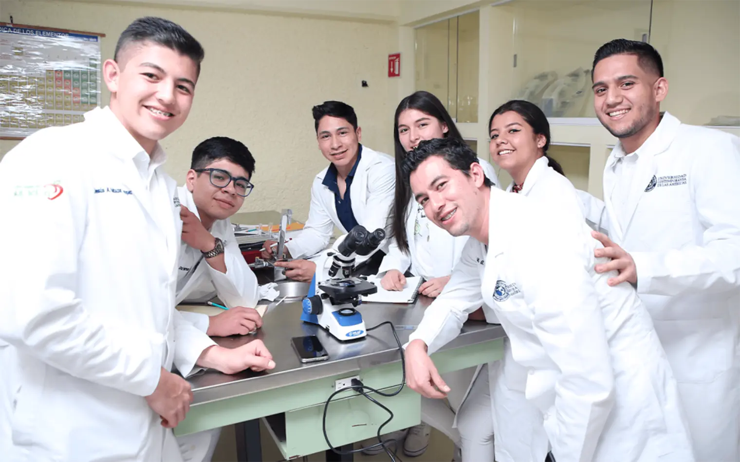 Comunidad Morelia Las Amercias