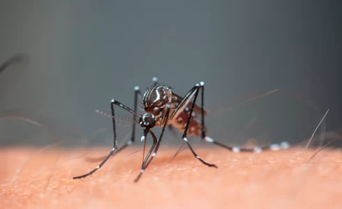 Portada Blog 2024 28 Marzo