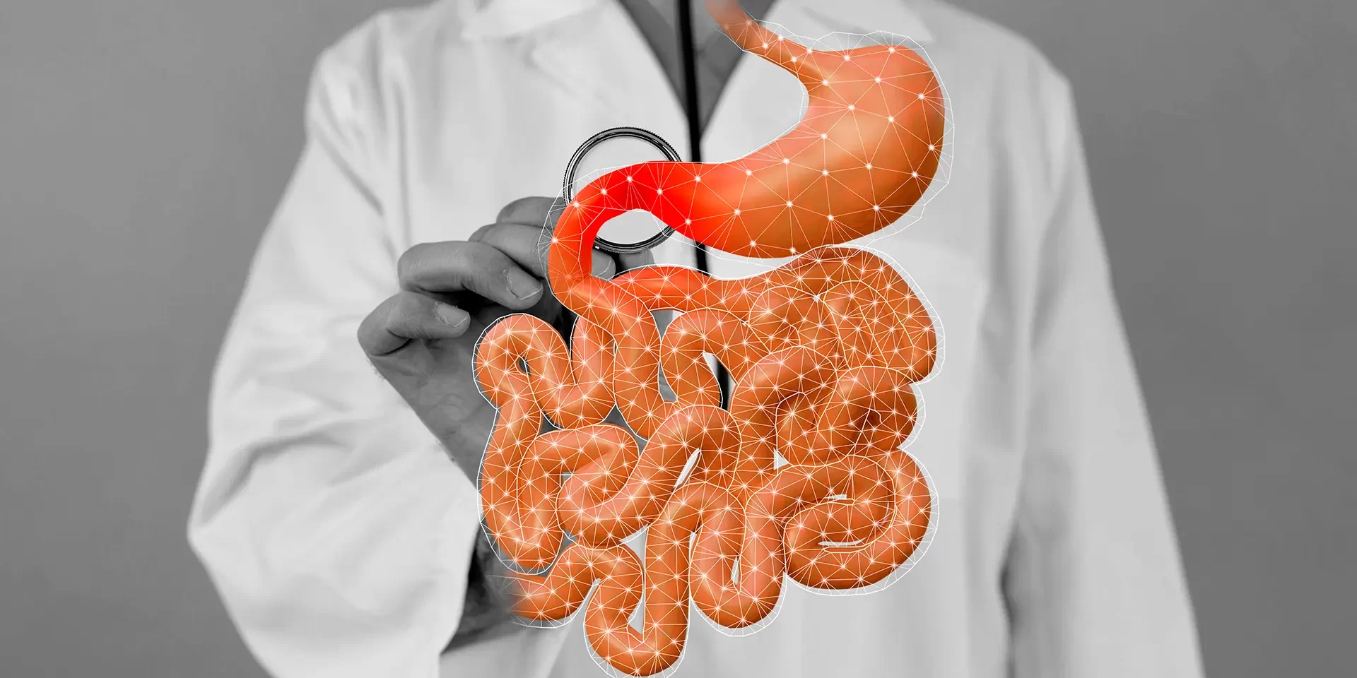 Portada Blog 2024 13 Junio