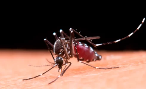 Portada Efemerides 2024 26 Agosto