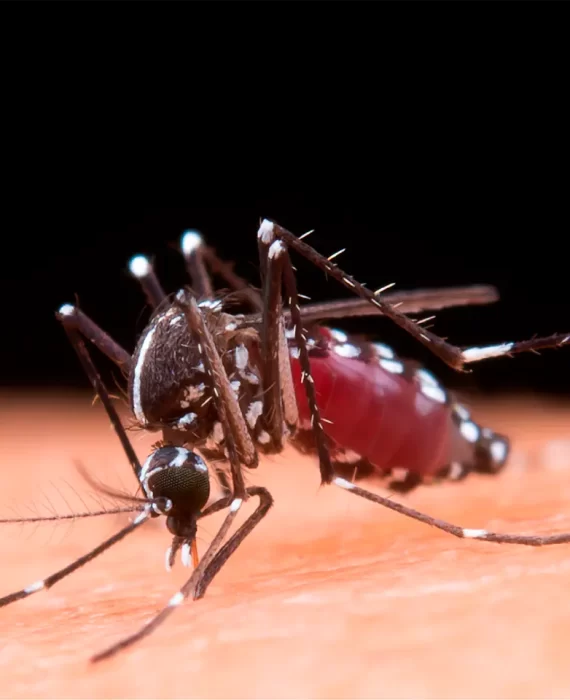 Portada Efemerides 2024 26 Agosto