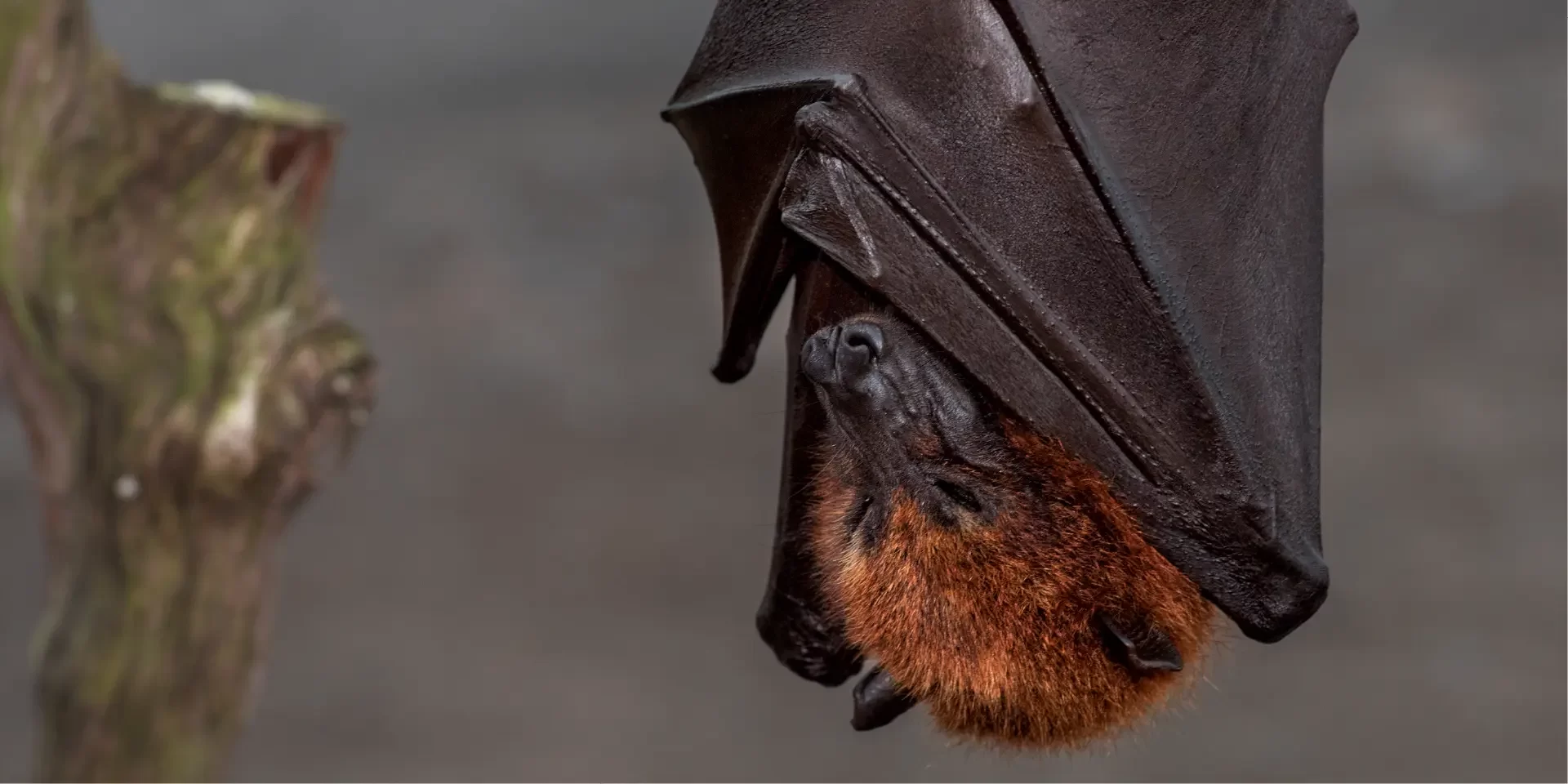 Portada Efemerides 2024 28 Septiembre