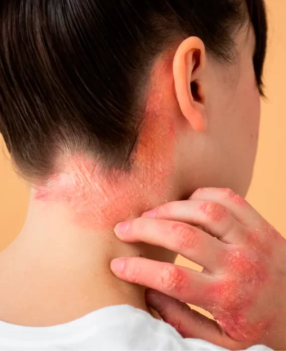 Portada Blog 2024 29 Octubre 1