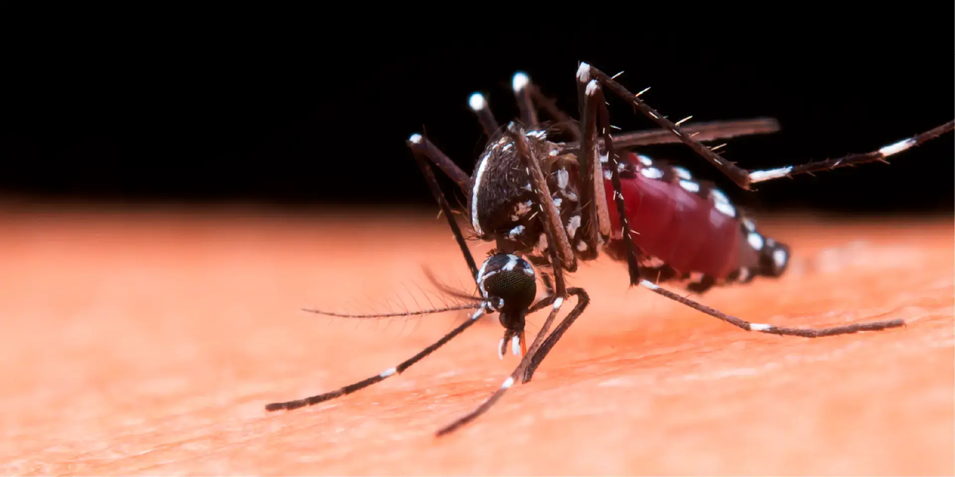 Portada Efemerides 2024 05 Noviembre