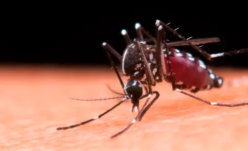 Portada Efemerides 2024 05 Noviembre