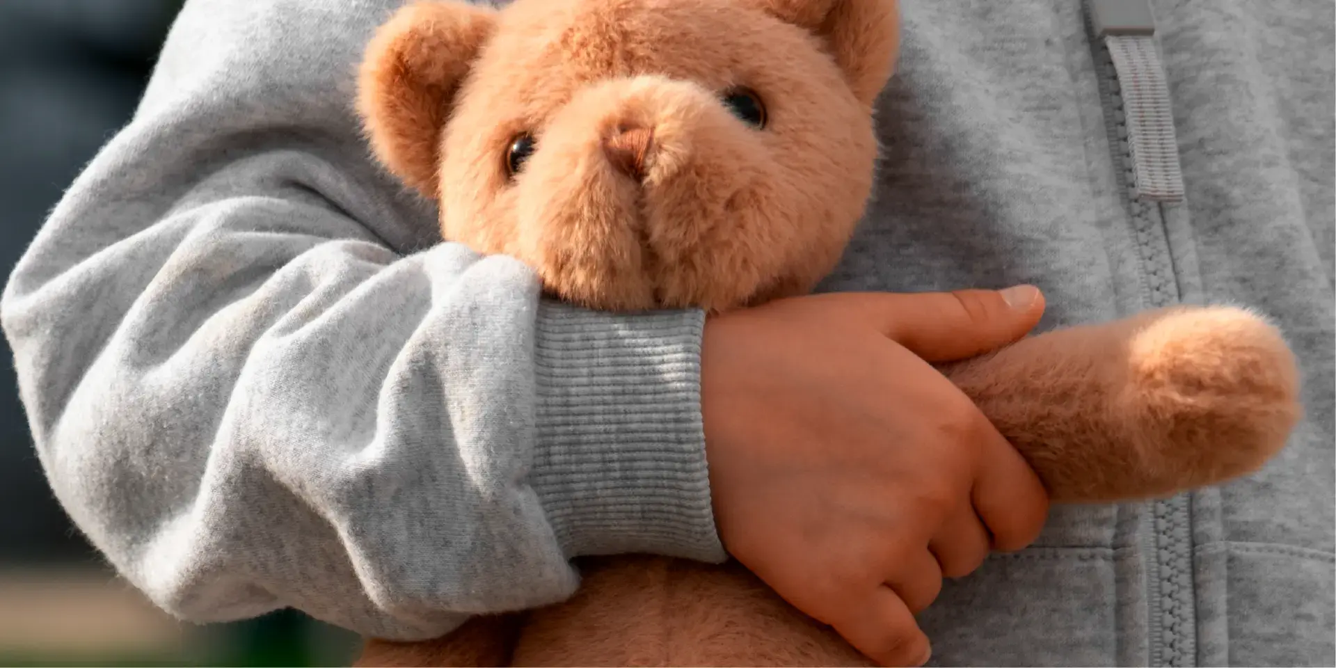 Portada Efemerides 2024 19 Noviembre