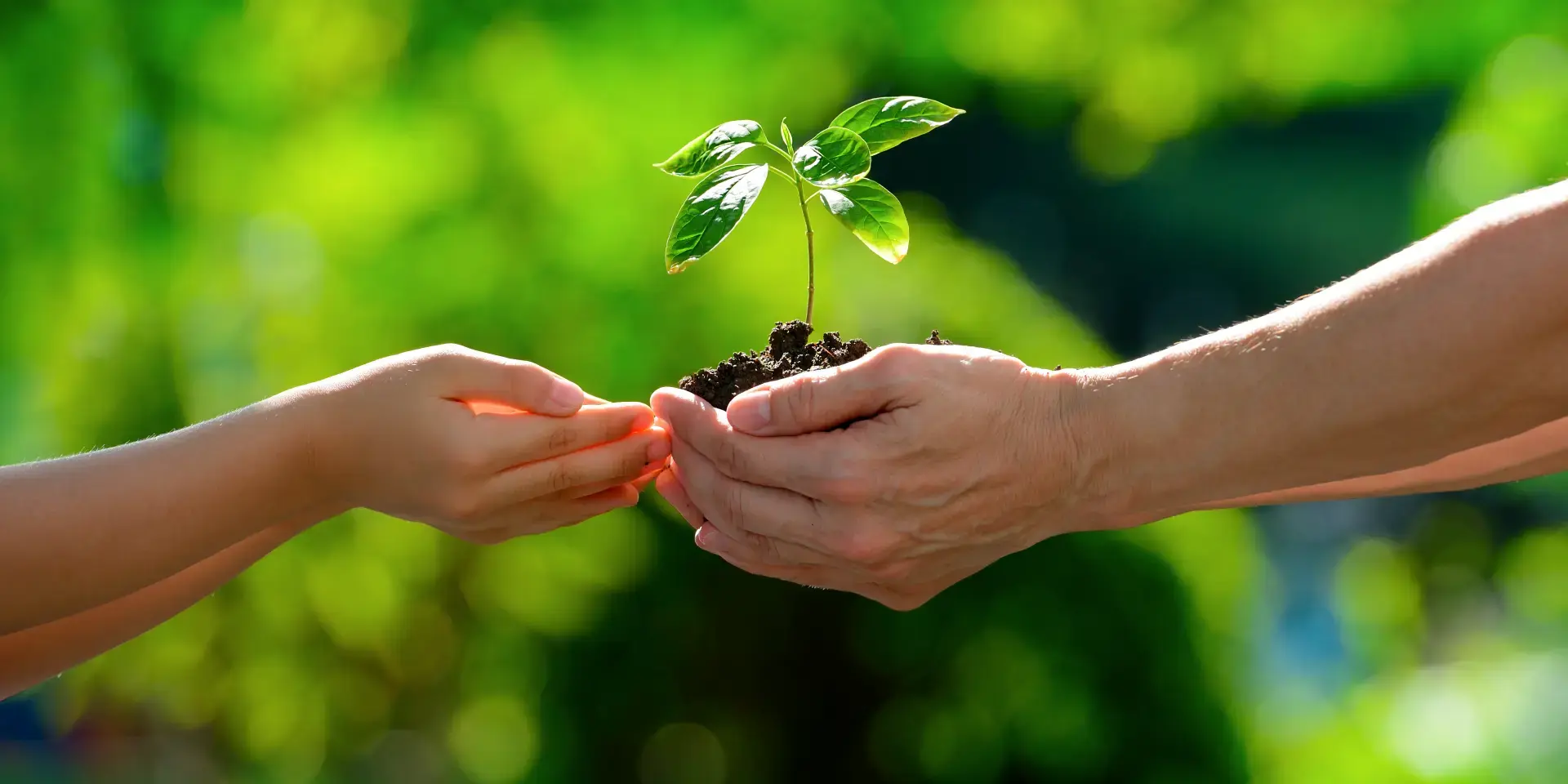 Portada Blog 2025 05 Junio