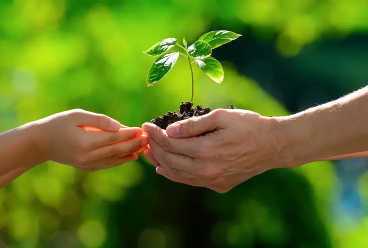 Portada Blog 2025 05 Junio