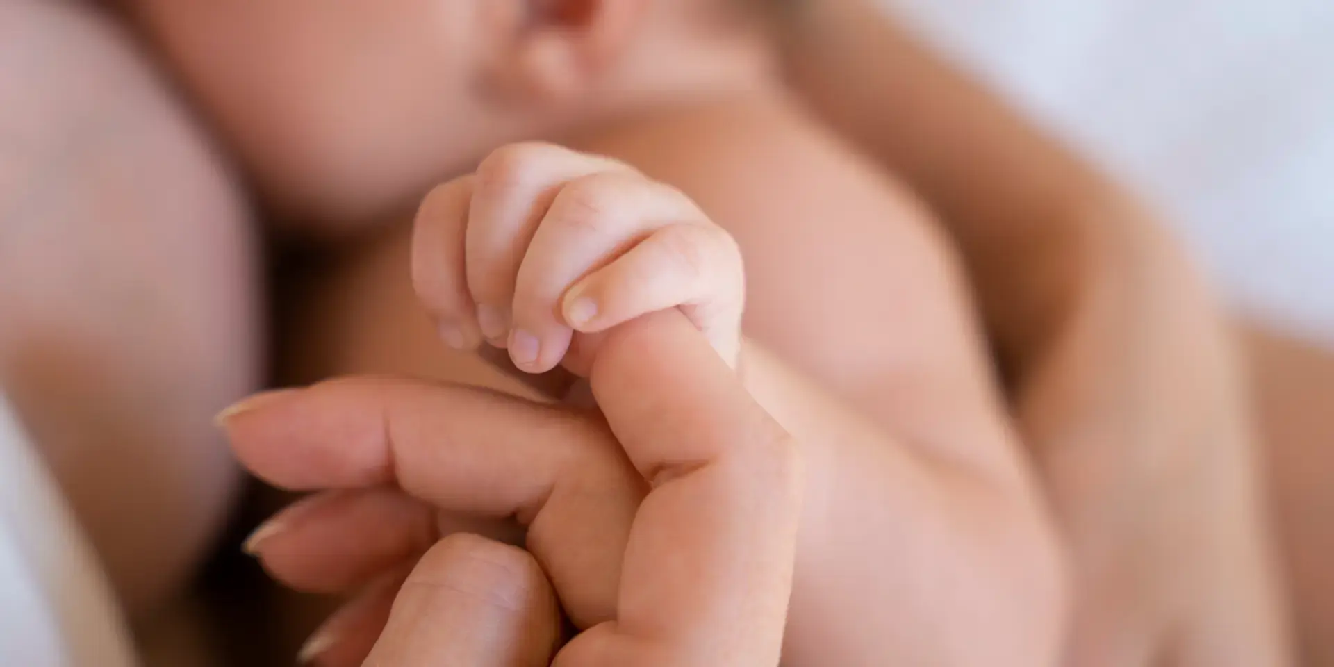 Portada Blog 2025 06 Agosto