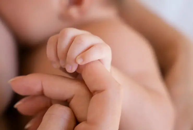 Portada Blog 2025 06 Agosto