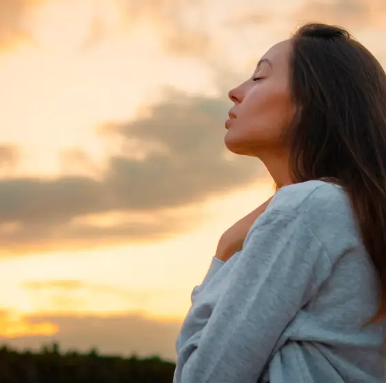 Portada Blog 2025 09 Diciembre