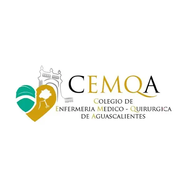 COLEGIO DE ENFERMERAS DEL ESTADO DE AGUASCALIENTES A.C
