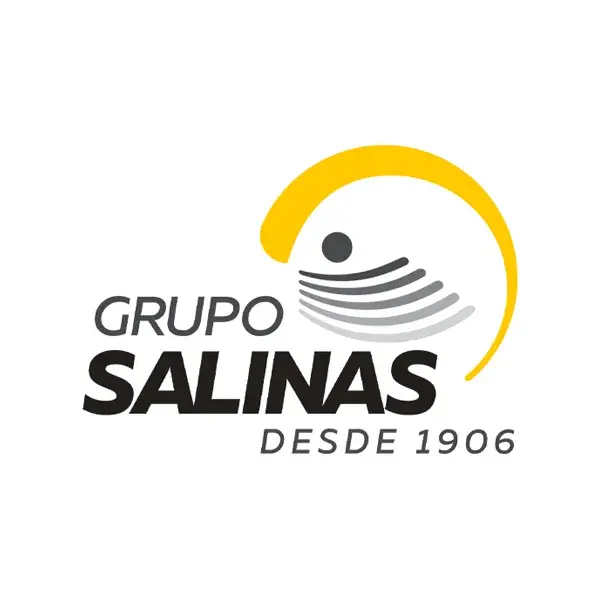 GRUPO SALINAS