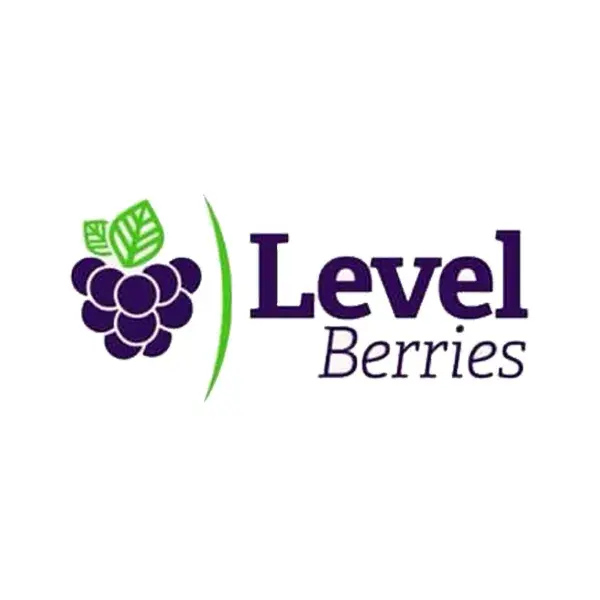 LEVEL-BERRIES
